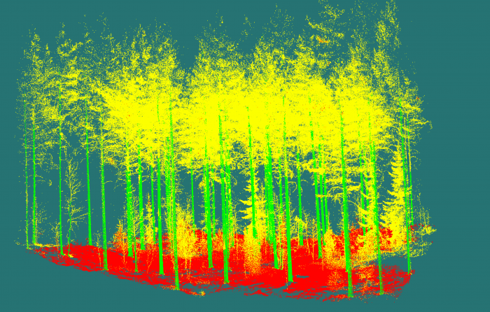 TLS Trees