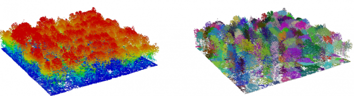 Tree Segmentation Lidar