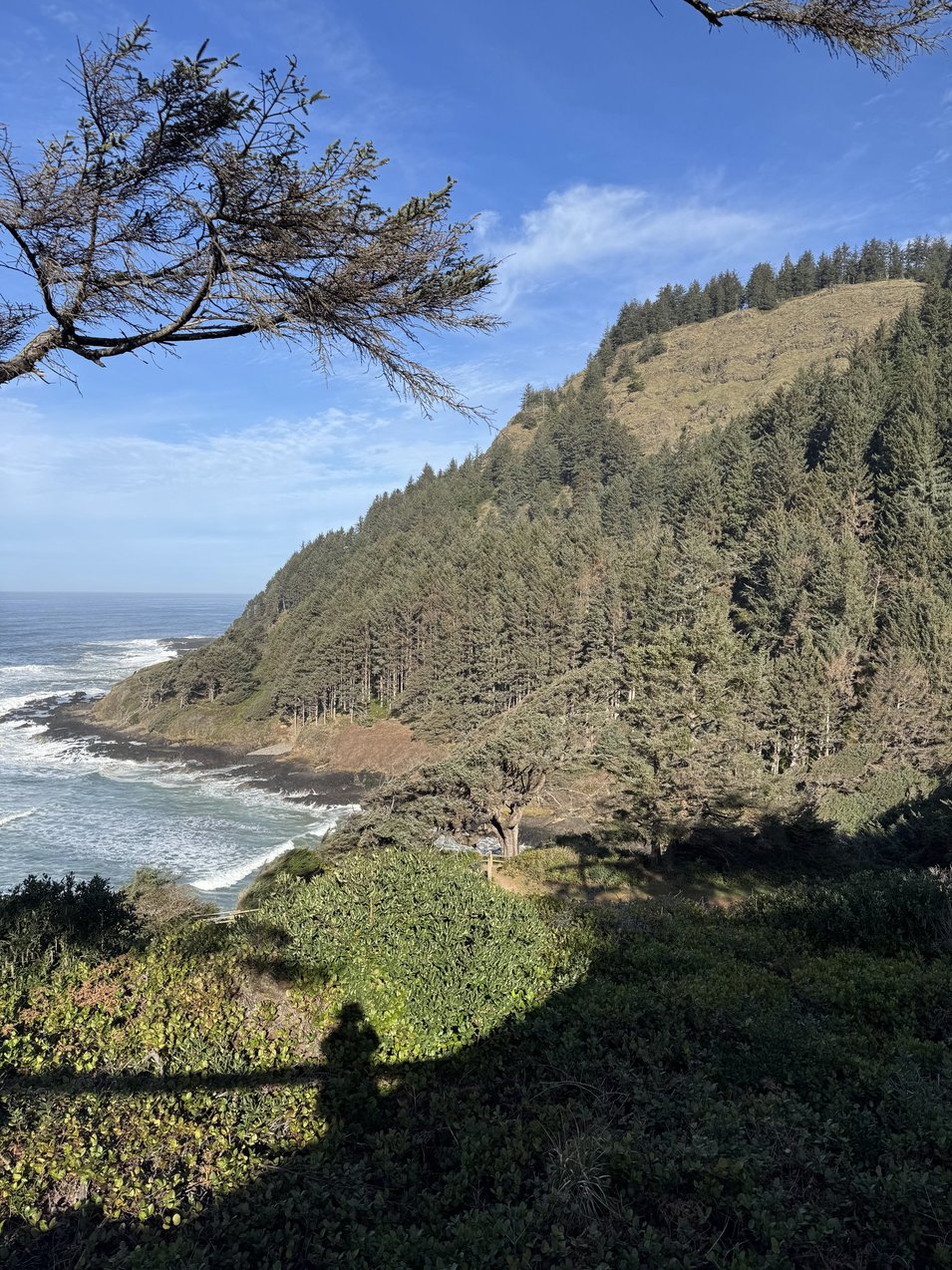 Cape Perpetua