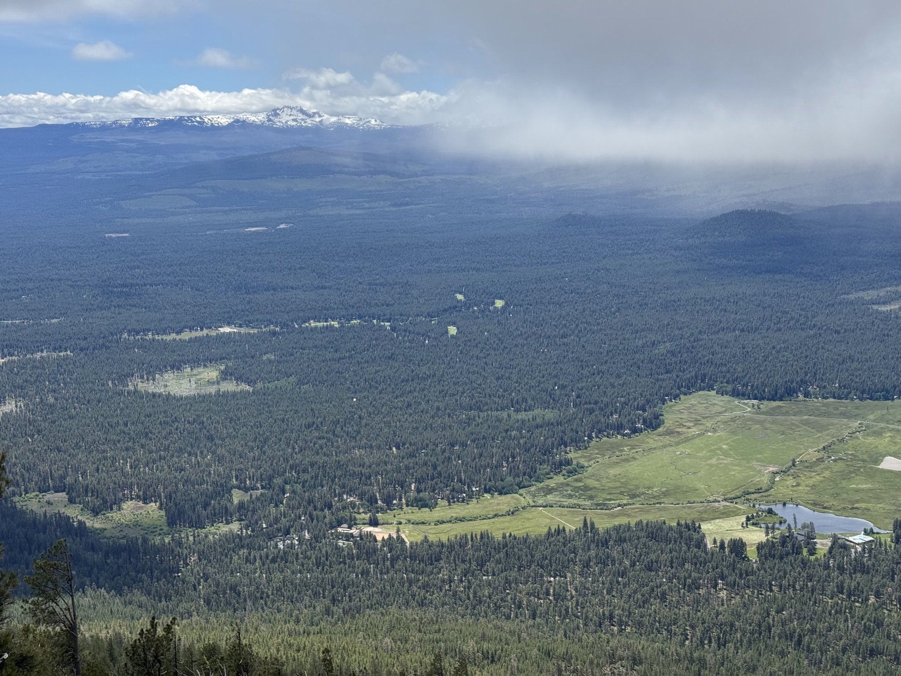SSEview